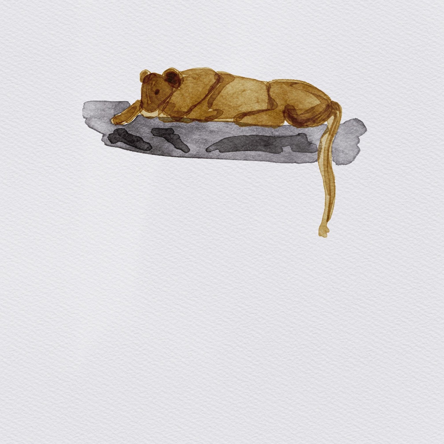 Digital Watercolor Shape Animals - image 1 - student project
