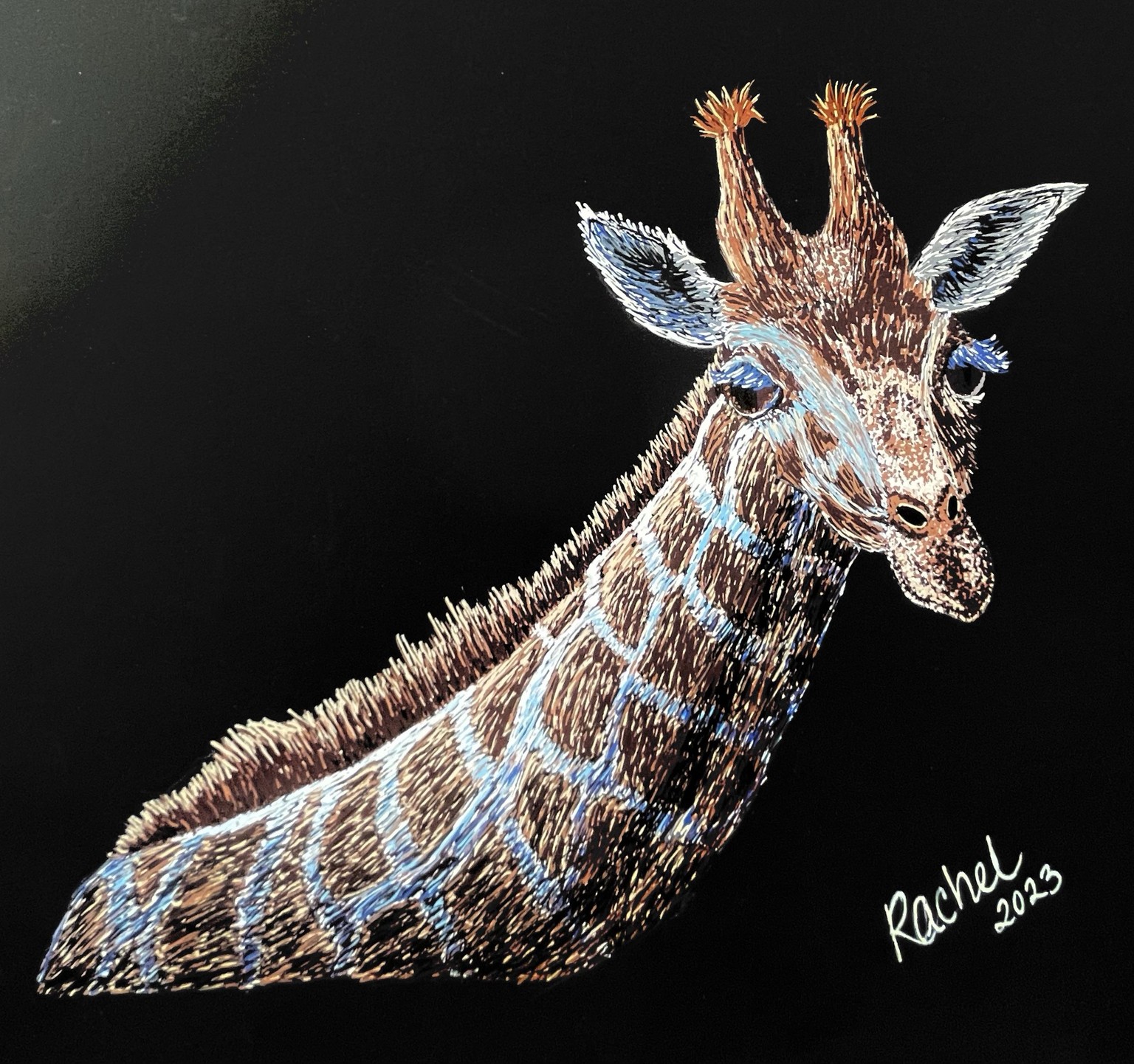 Acrylic Posca Marker Giraffe Drawing - image 1 - student project