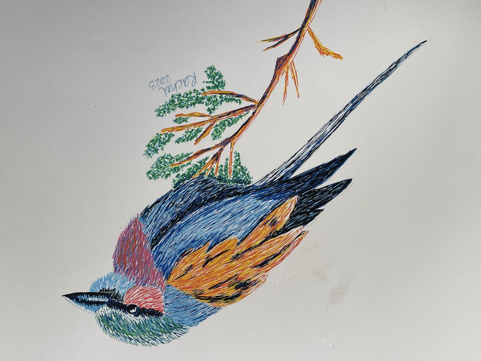 Bird Drawing - image 1 - student project