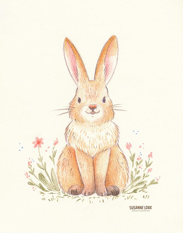 Cute bunny :) - image 1 - student project