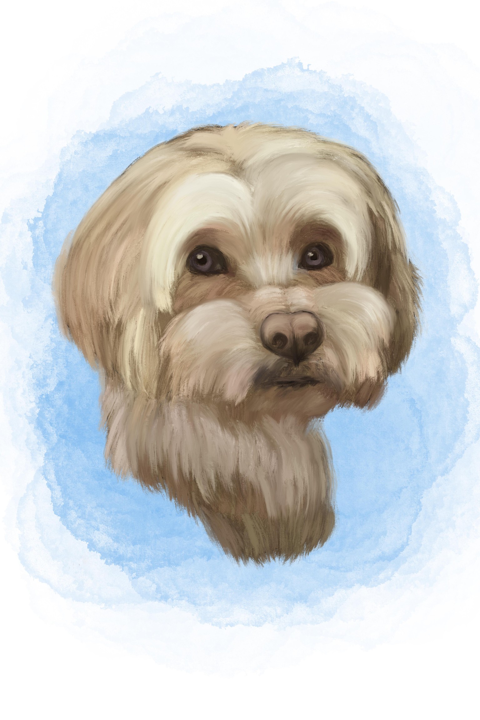 Dog portrait - image 1 - student project