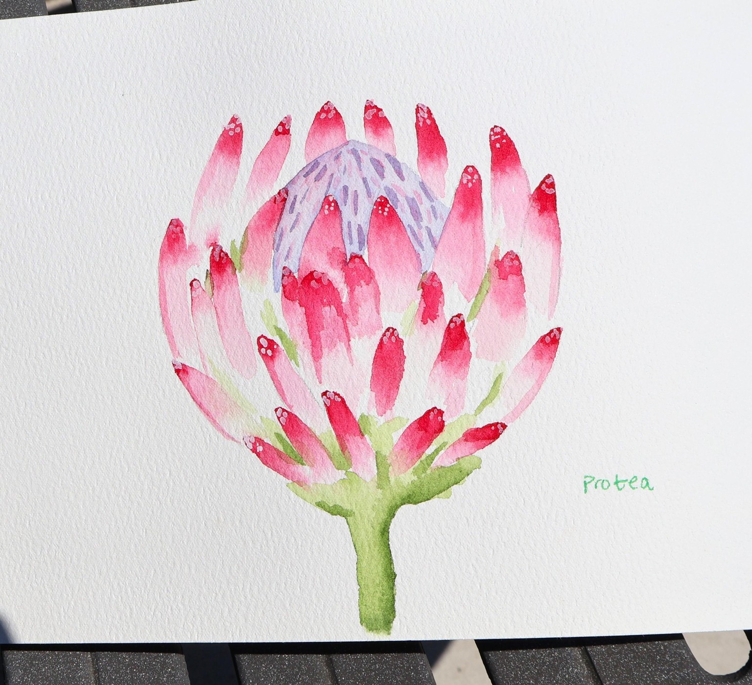 Watercolor Tropical Flowers - image 2 - student project