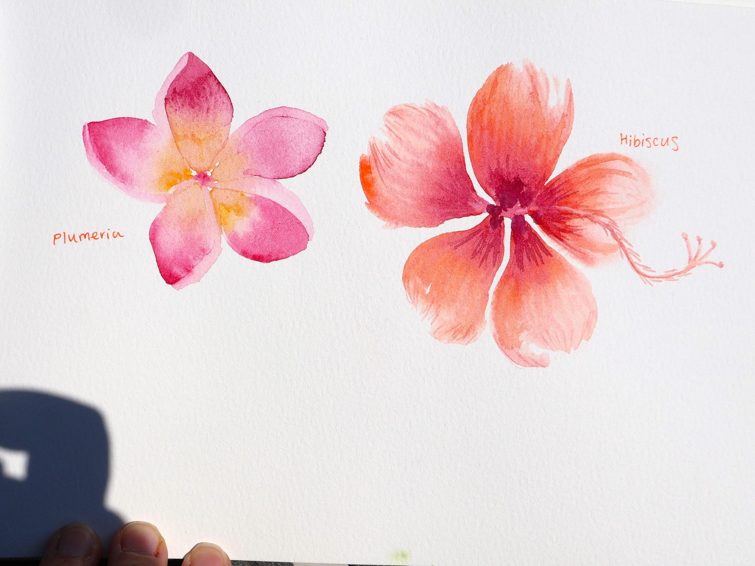 Watercolor Tropical Flowers - image 1 - student project