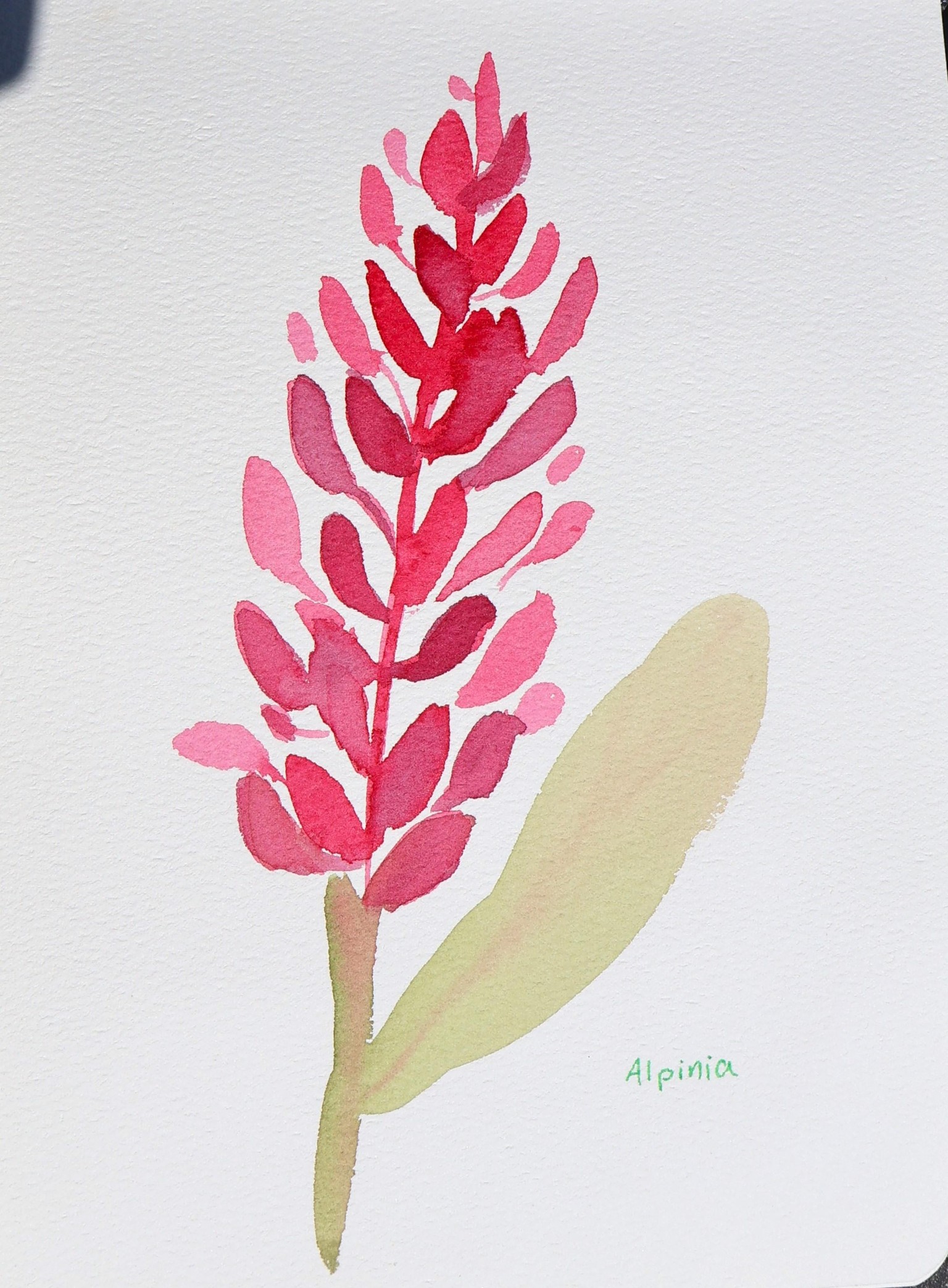 Watercolor Tropical Flowers - image 3 - student project