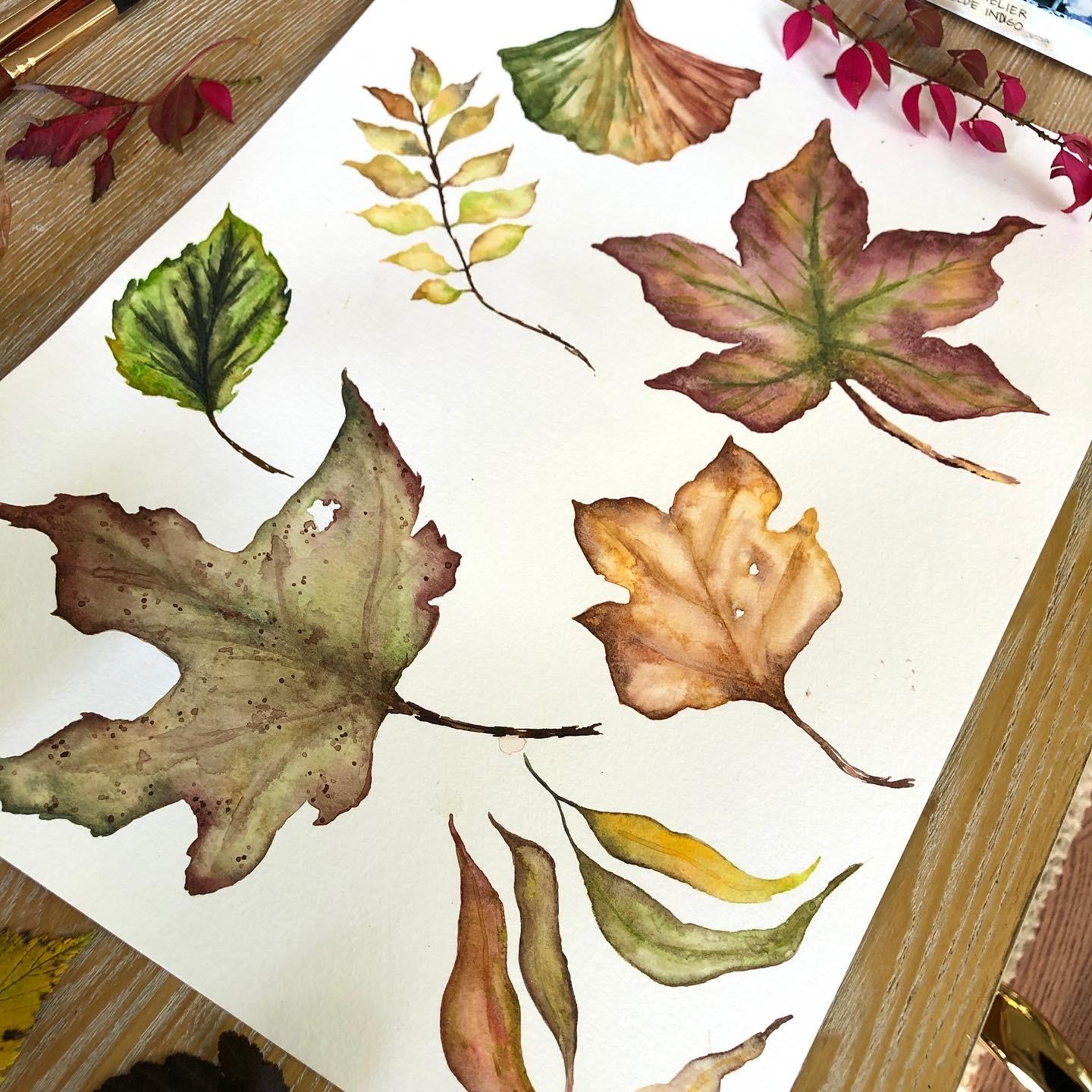 Fall Leaves - image 1 - student project