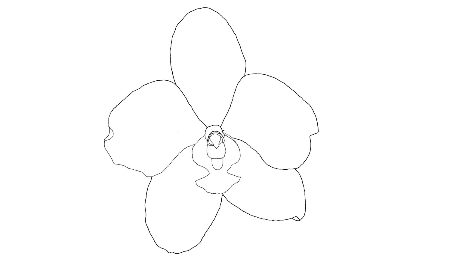 Orchid - image 1 - student project
