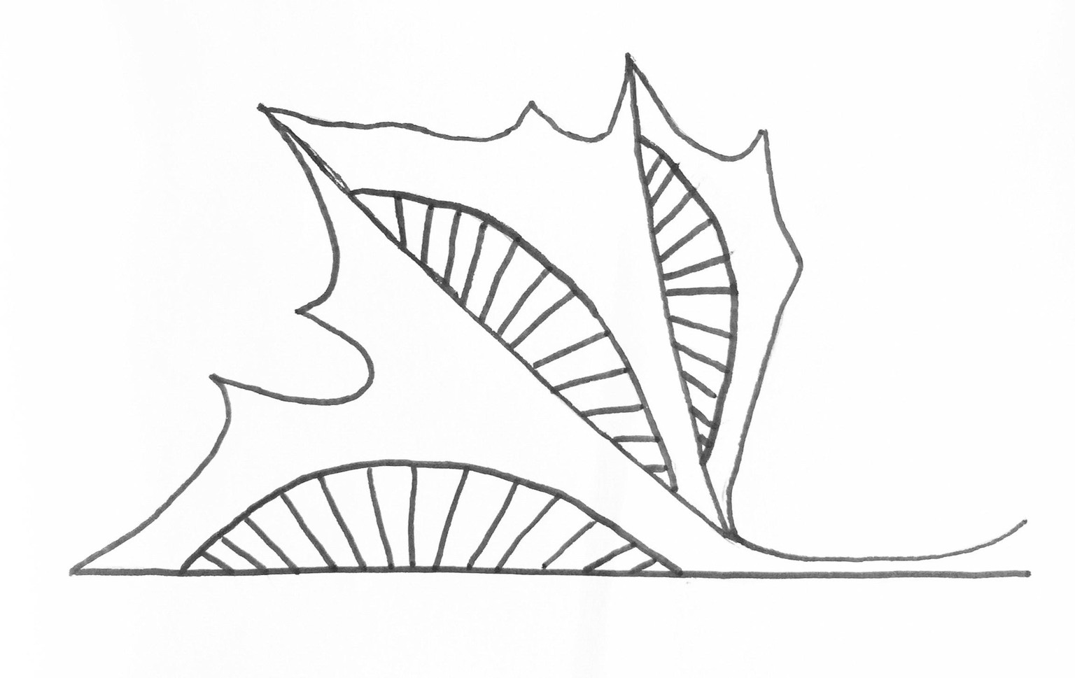 My favorite leaf - image 2 - student project