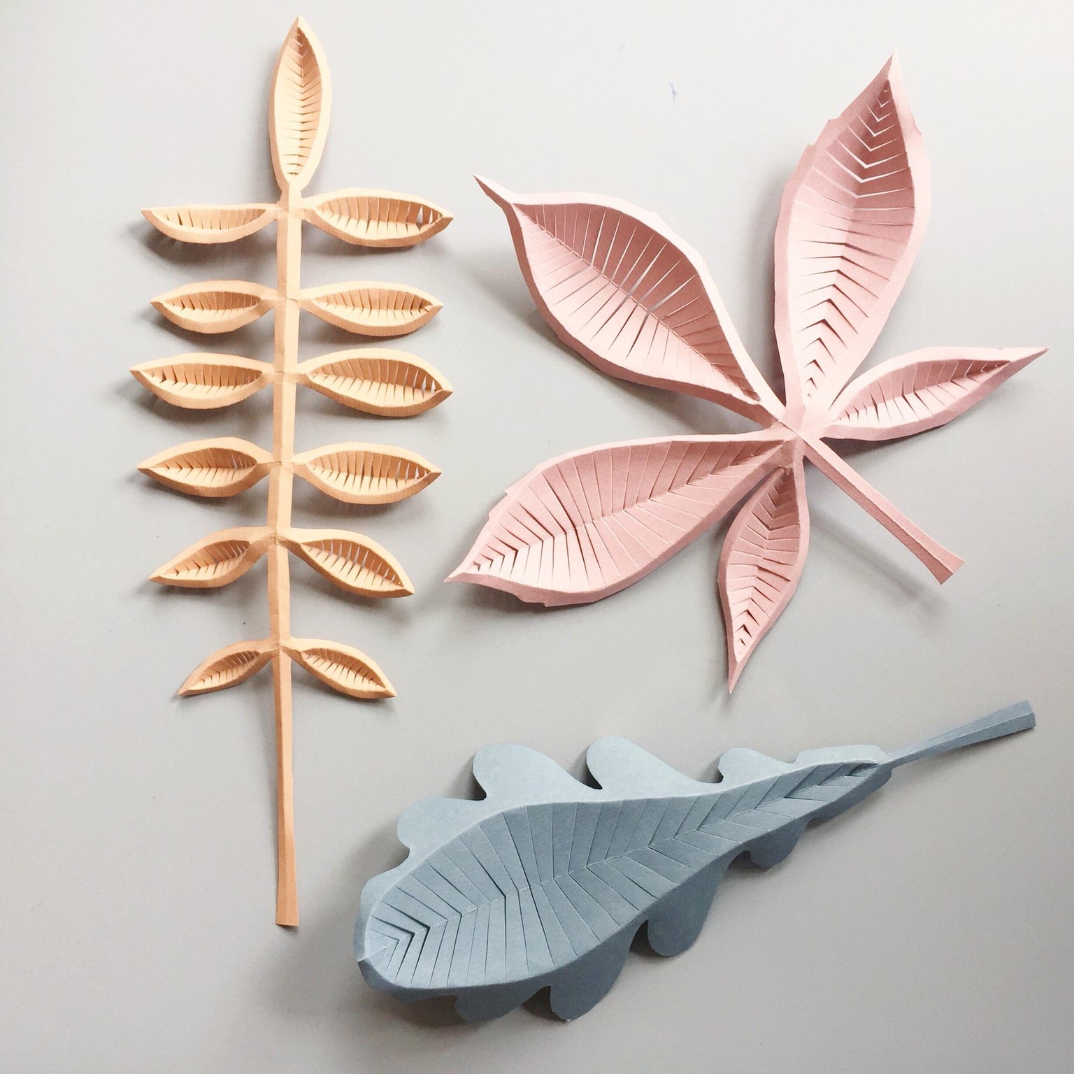 My favorite leaf - image 4 - student project