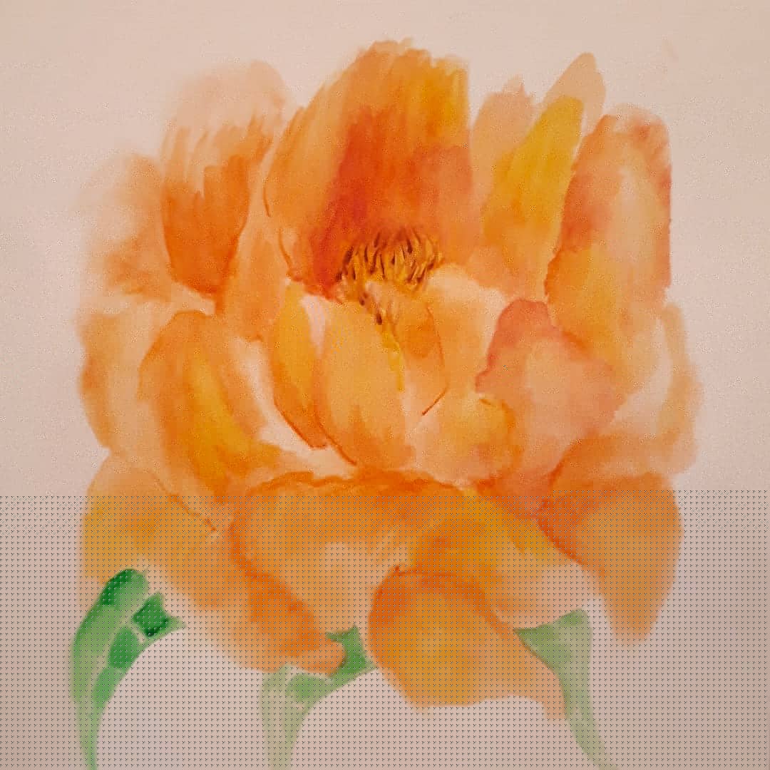 Peonies in full blossom - image 3 - student project