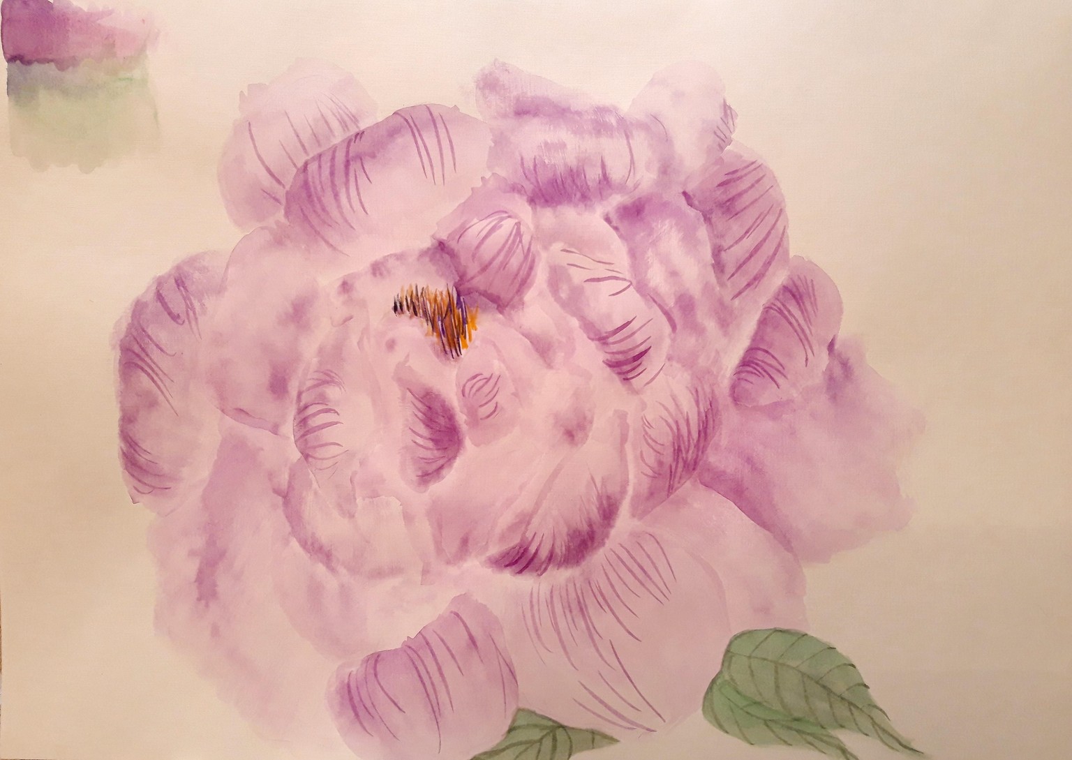 Peonies in full blossom - image 2 - student project