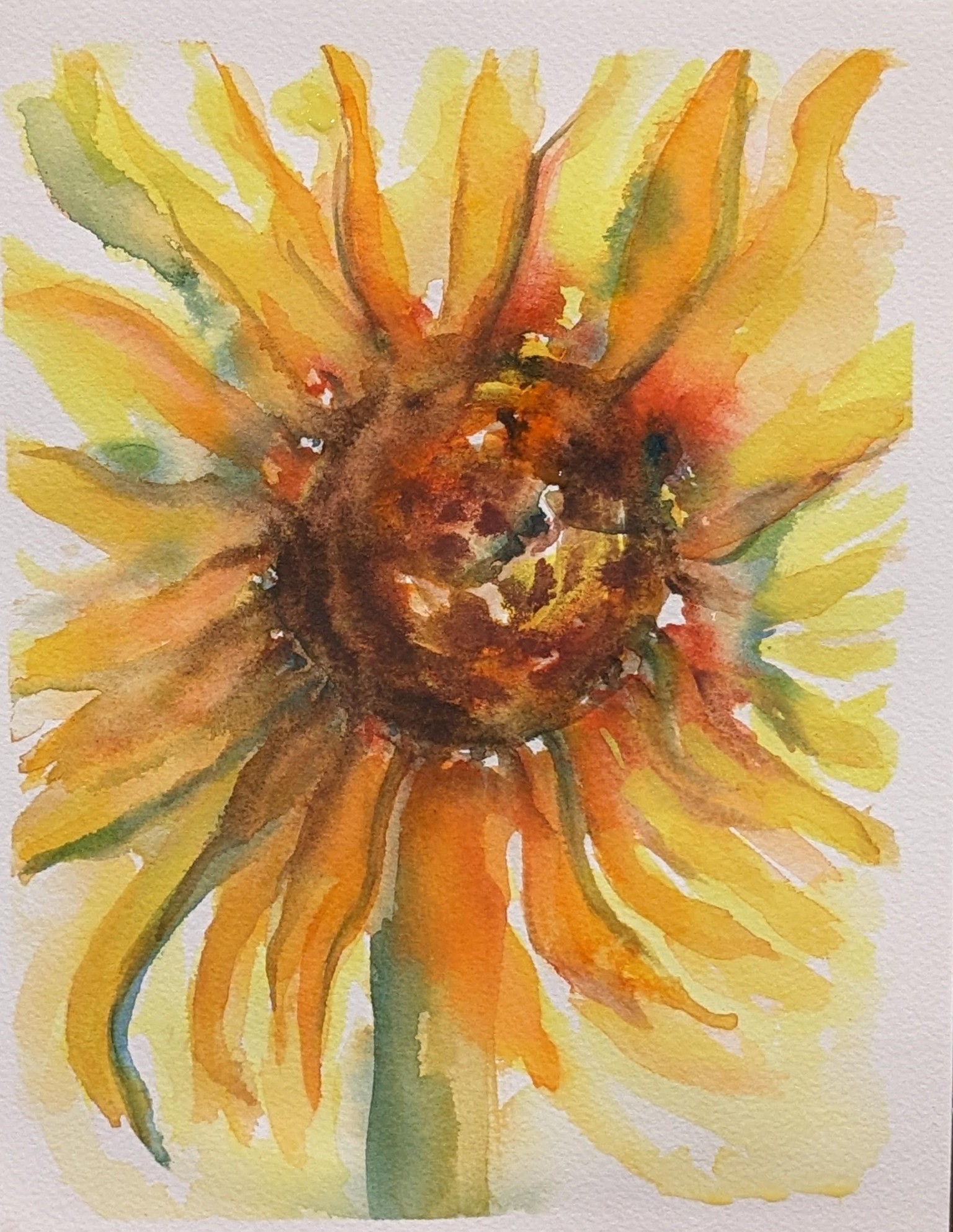 vibrant loose watercolor w Arie - image 1 - student project