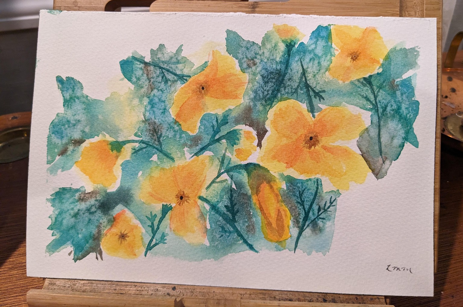 California poppies - image 1 - student project