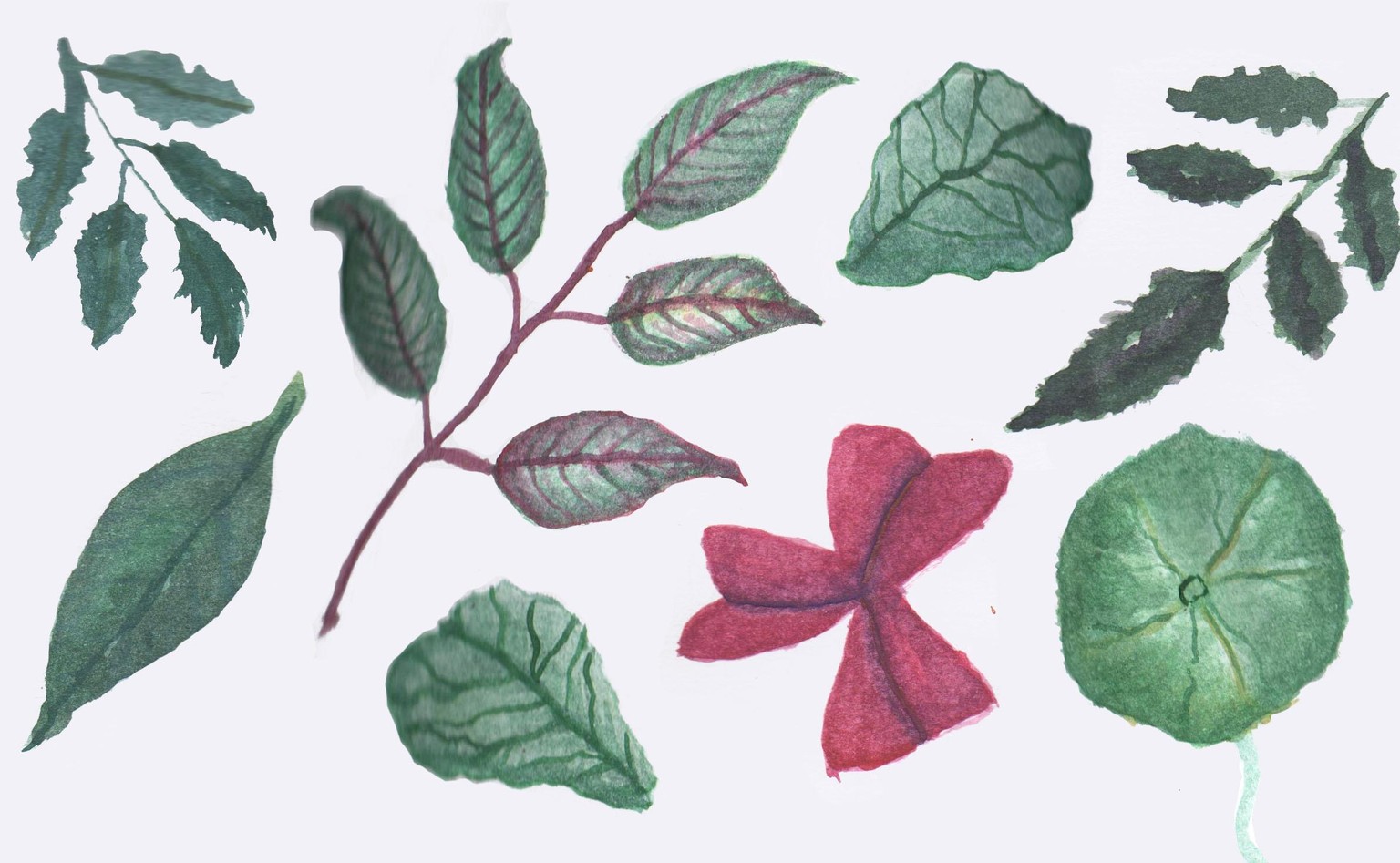 Watercolor leaves with Anne Buttera - image 1 - student project