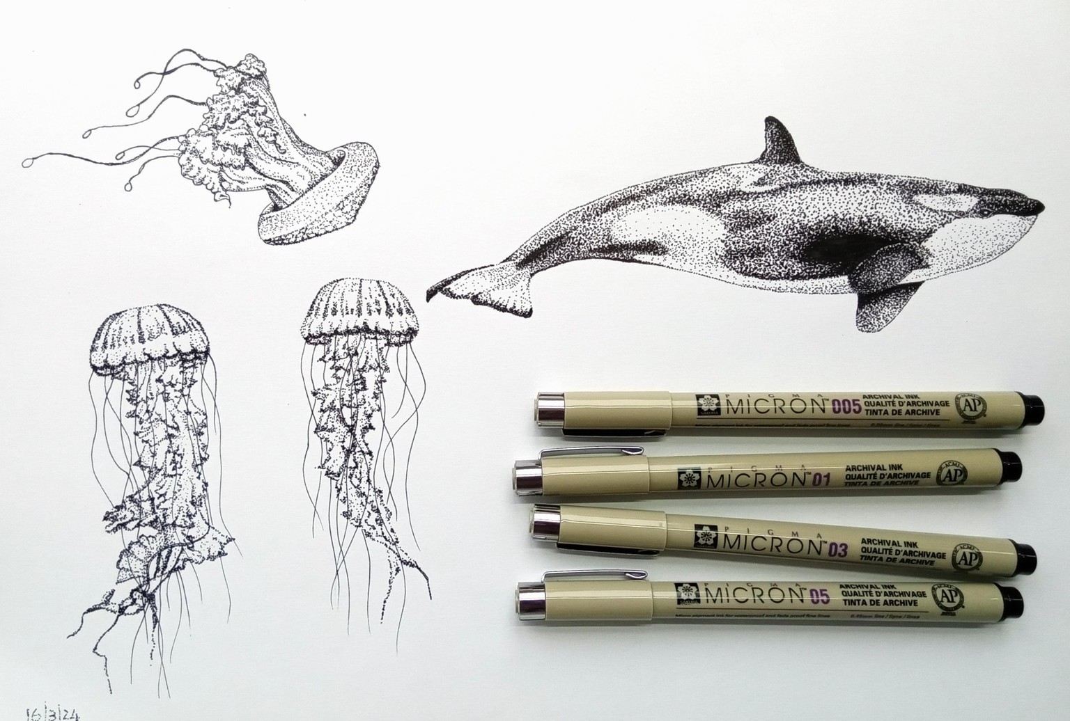 Jelly Fish & Orca Whale - image 1 - student project