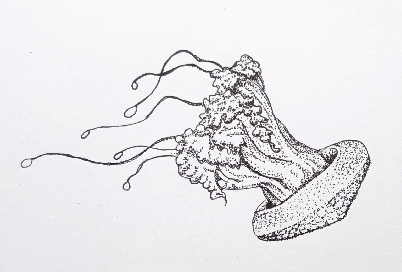 Jelly Fish & Orca Whale - image 2 - student project