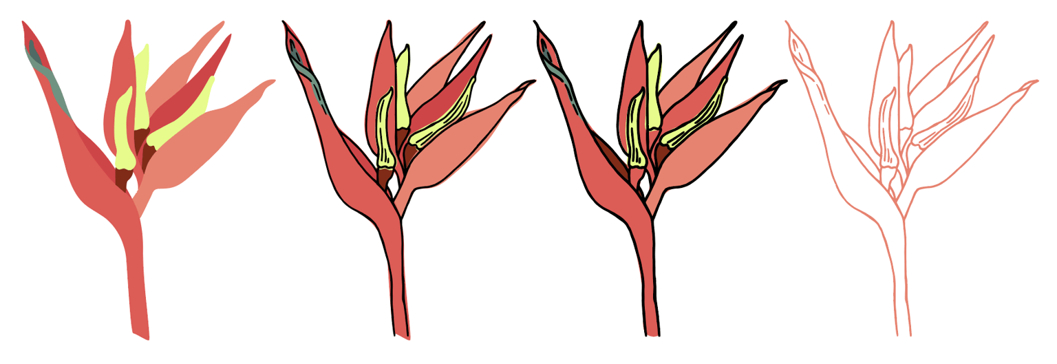 Vibrant Jungle - image 5 - student project