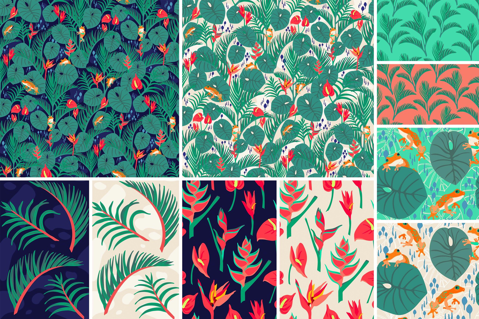 Vibrant Jungle - image 9 - student project