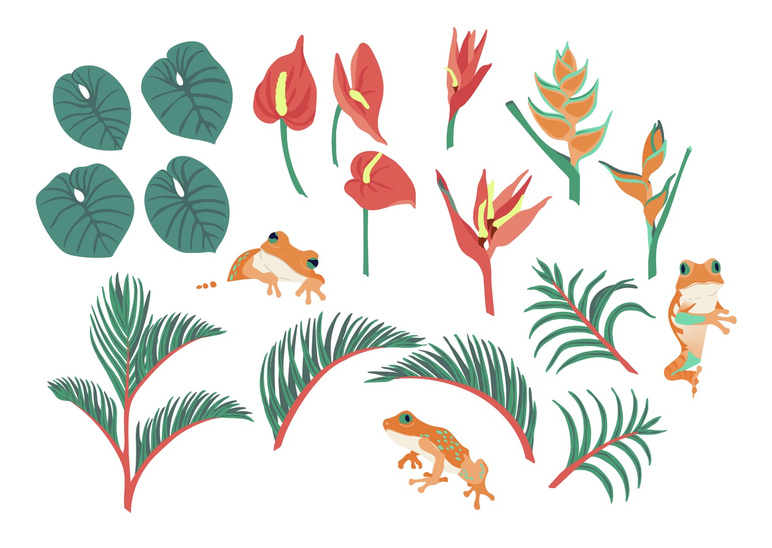 Vibrant Jungle - image 6 - student project