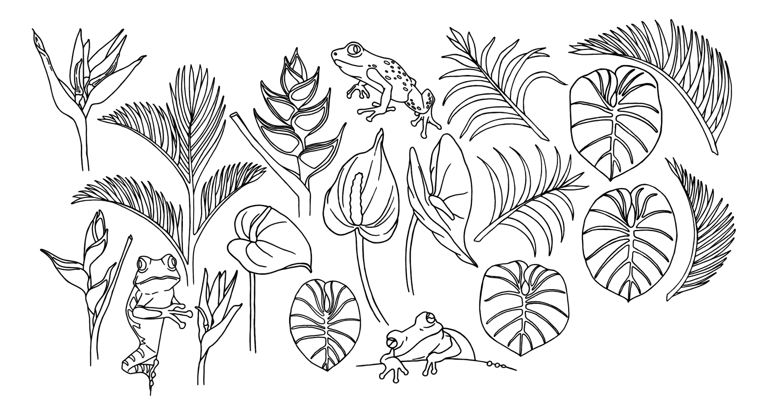Vibrant Jungle - image 2 - student project