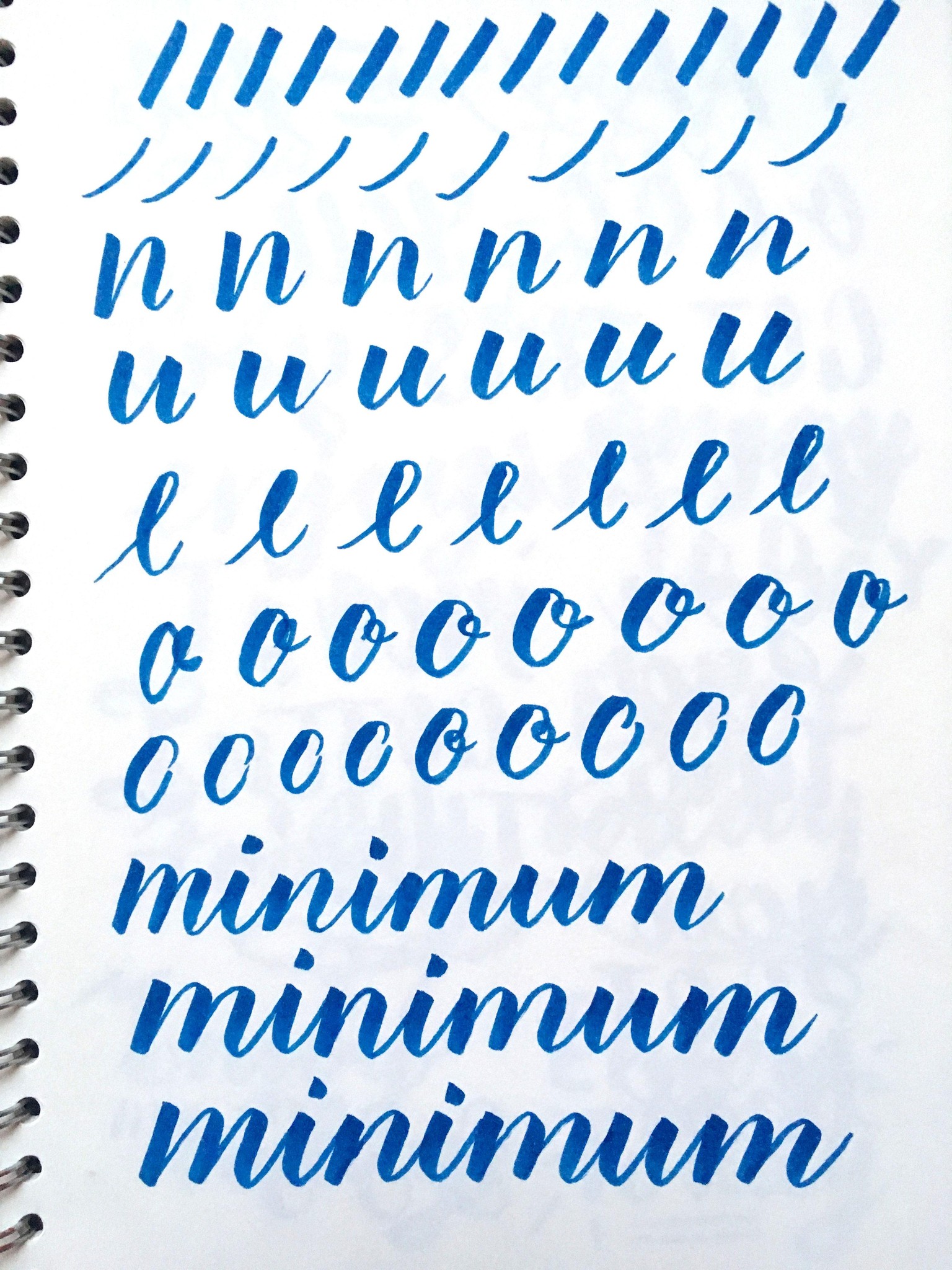 Enjoy Today Brush Lettering - image 1 - student project