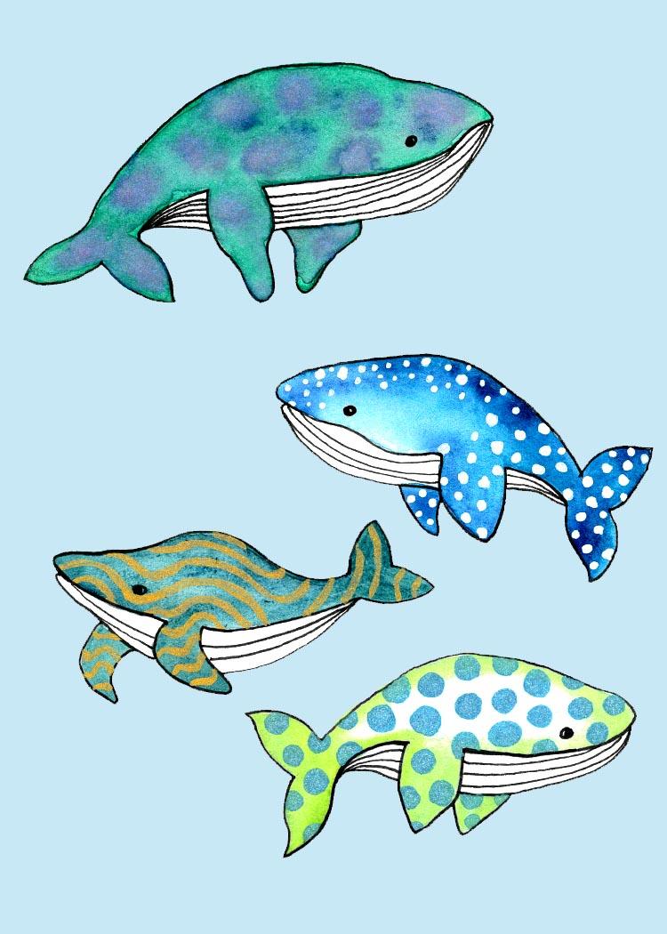 Whales - image 1 - student project