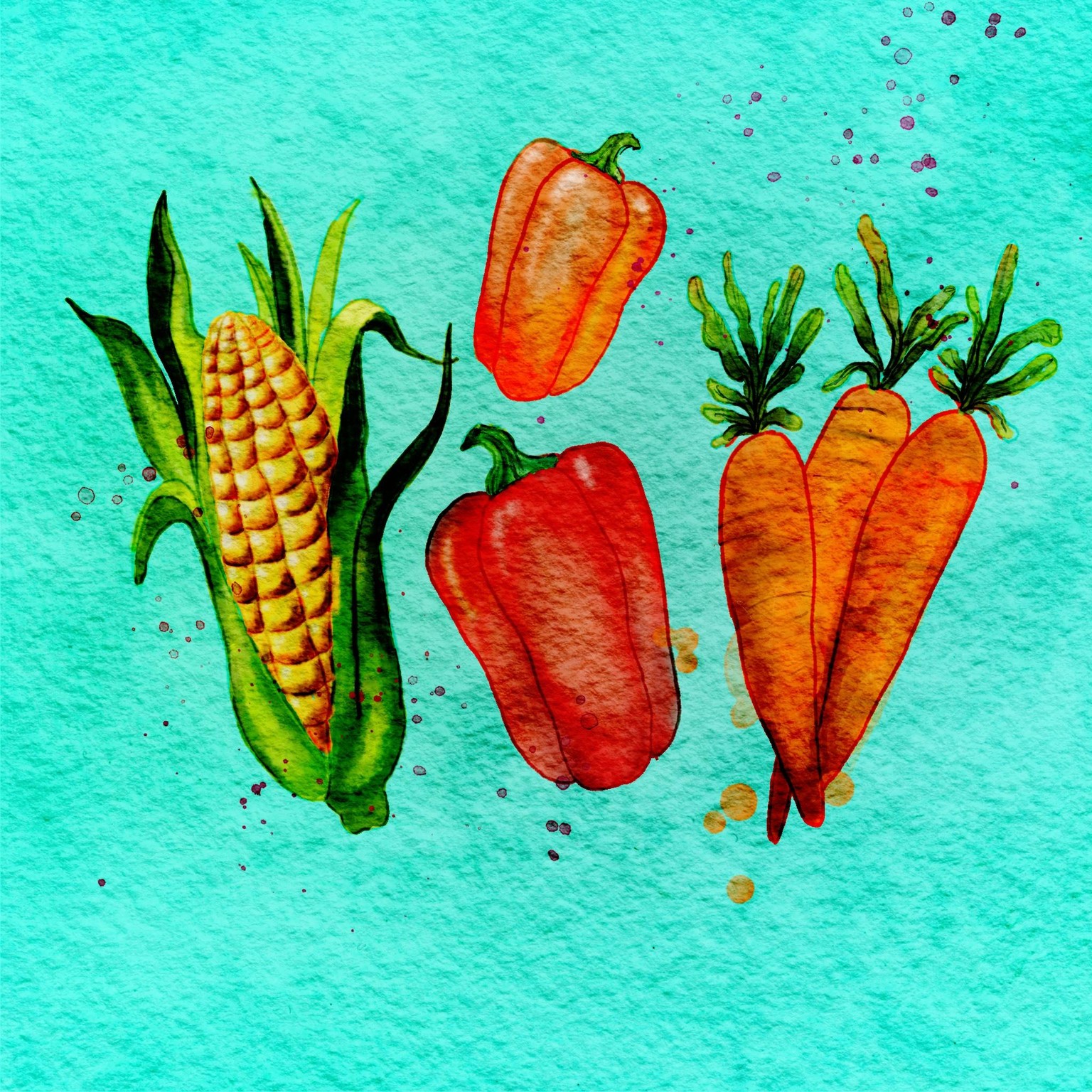 Corn - image 1 - student project