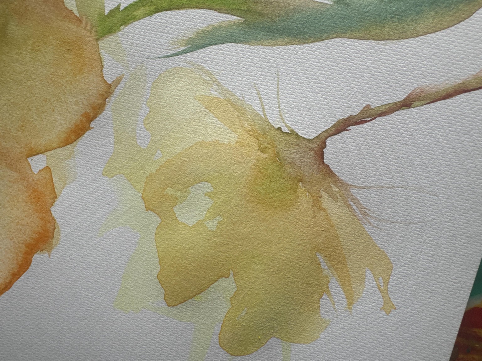 lose flowers - image 1 - student project