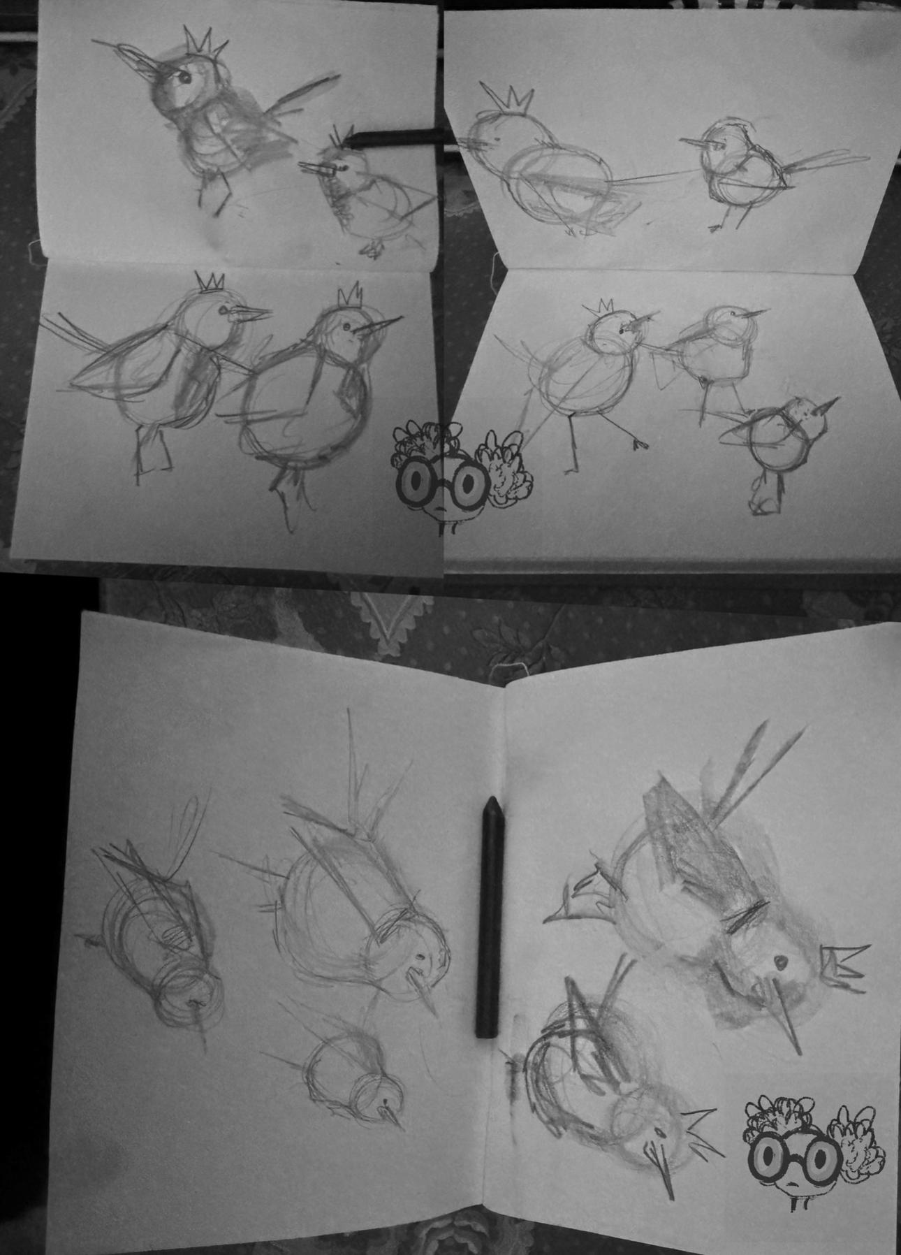 birdies - image 2 - student project