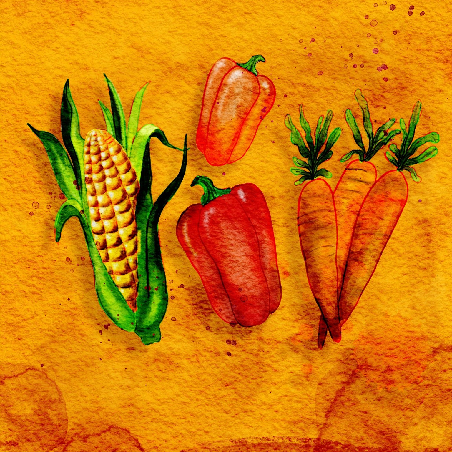Corn - image 2 - student project