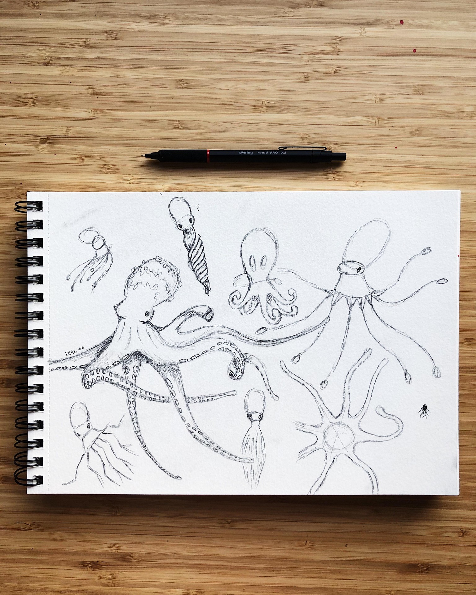 My Creative Process - image 6 - student project