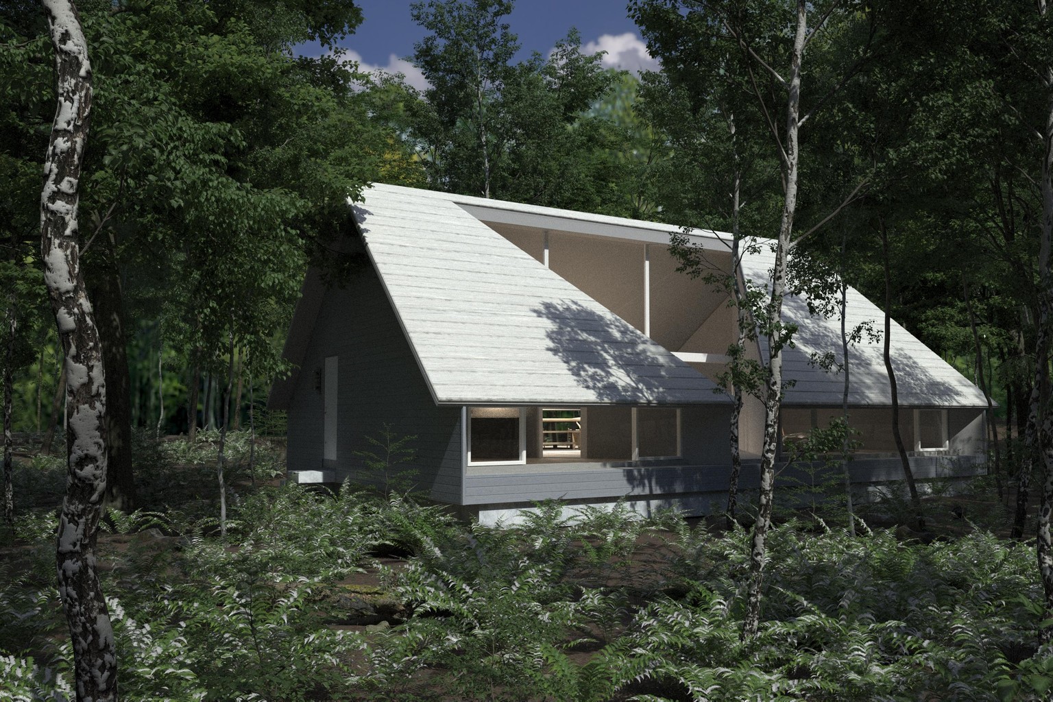 Forest House Camera 1 - image 1 - student project