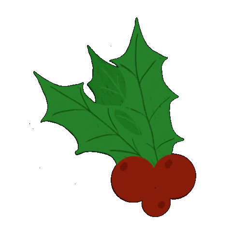 Mistletoe GIF - image 1 - student project