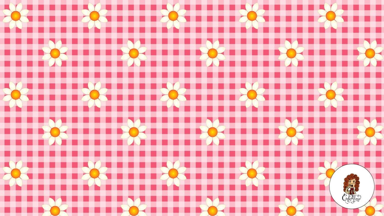 Daisies in a picnic - image 2 - student project