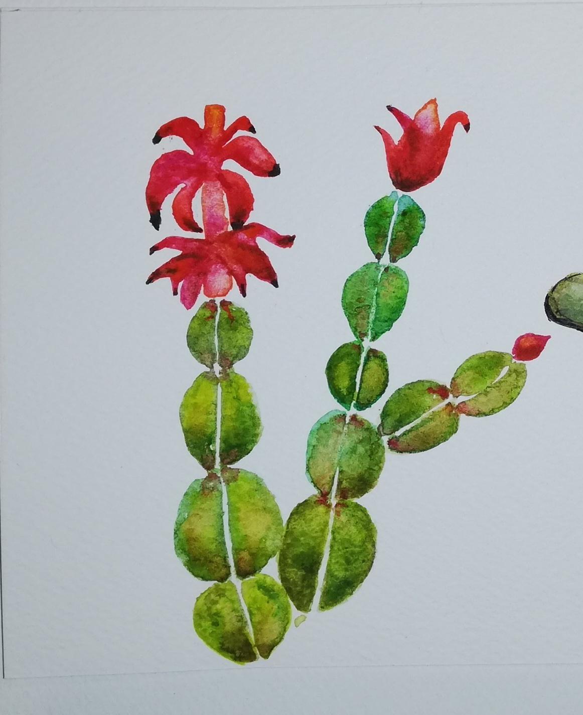 Some winter plants - image 1 - student project