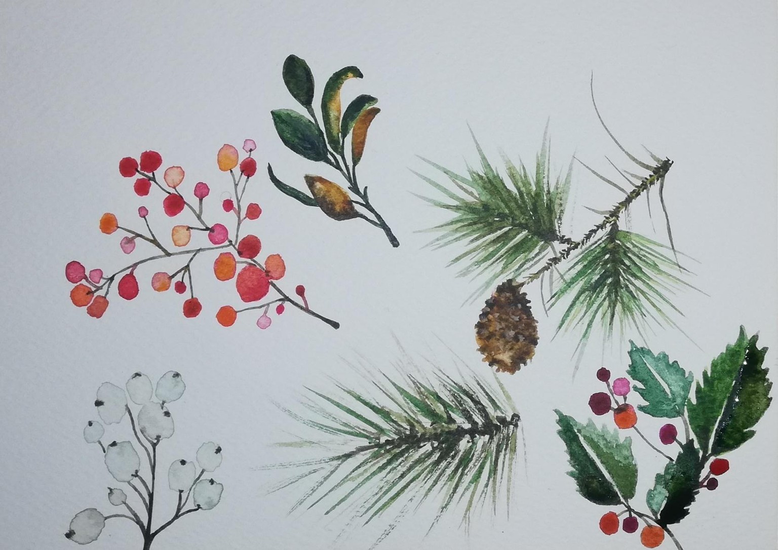 Some winter plants - image 2 - student project