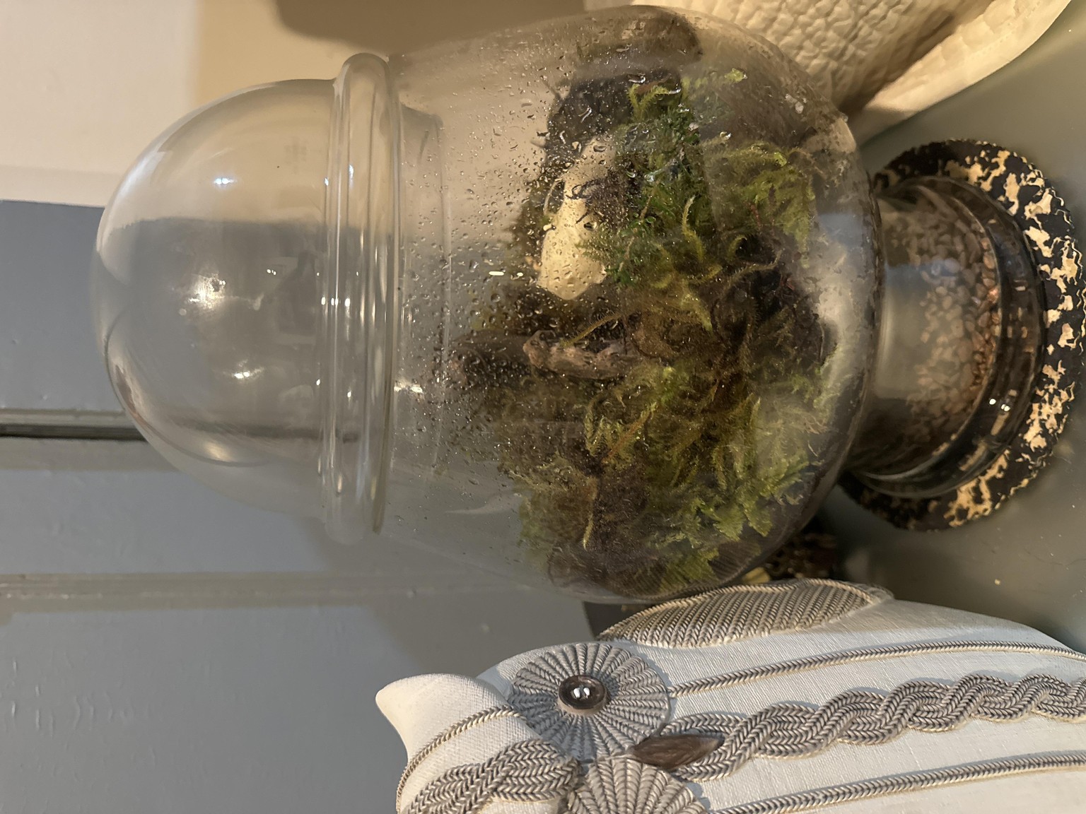 MKs Terrarium - image 2 - student project