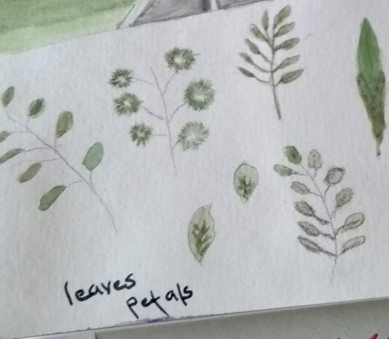 Floral watercolor - image 6 - student project