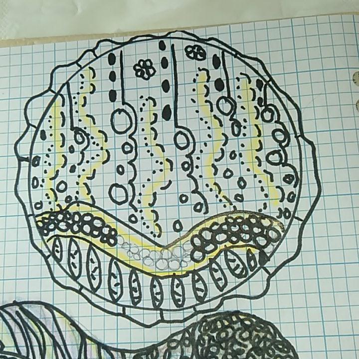 Doodle with combinations - image 1 - student project