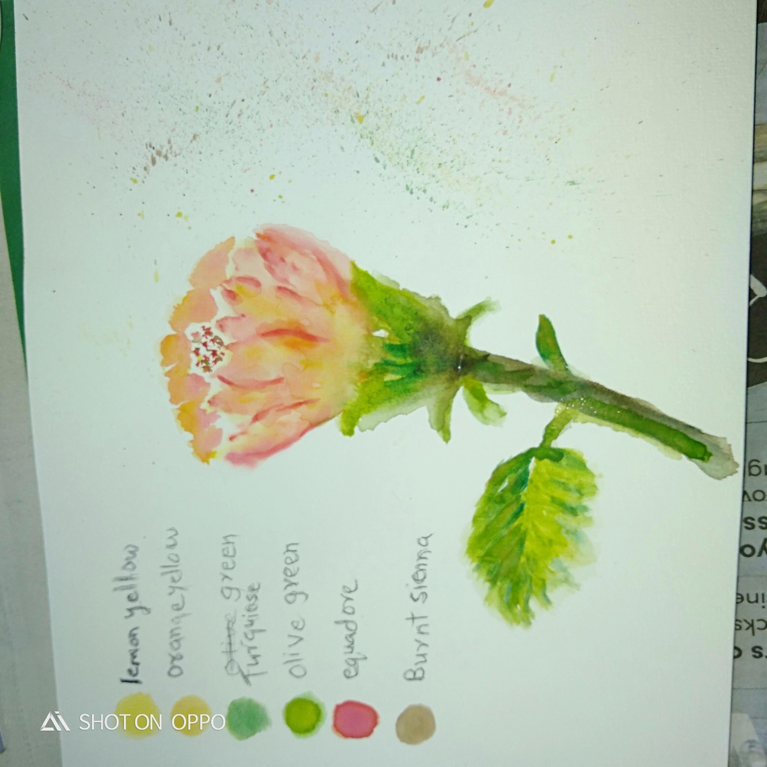 Tropical Hibiscus loose watercolor - image 1 - student project