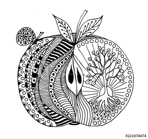 Botanical fruit mandala - image 1 - student project