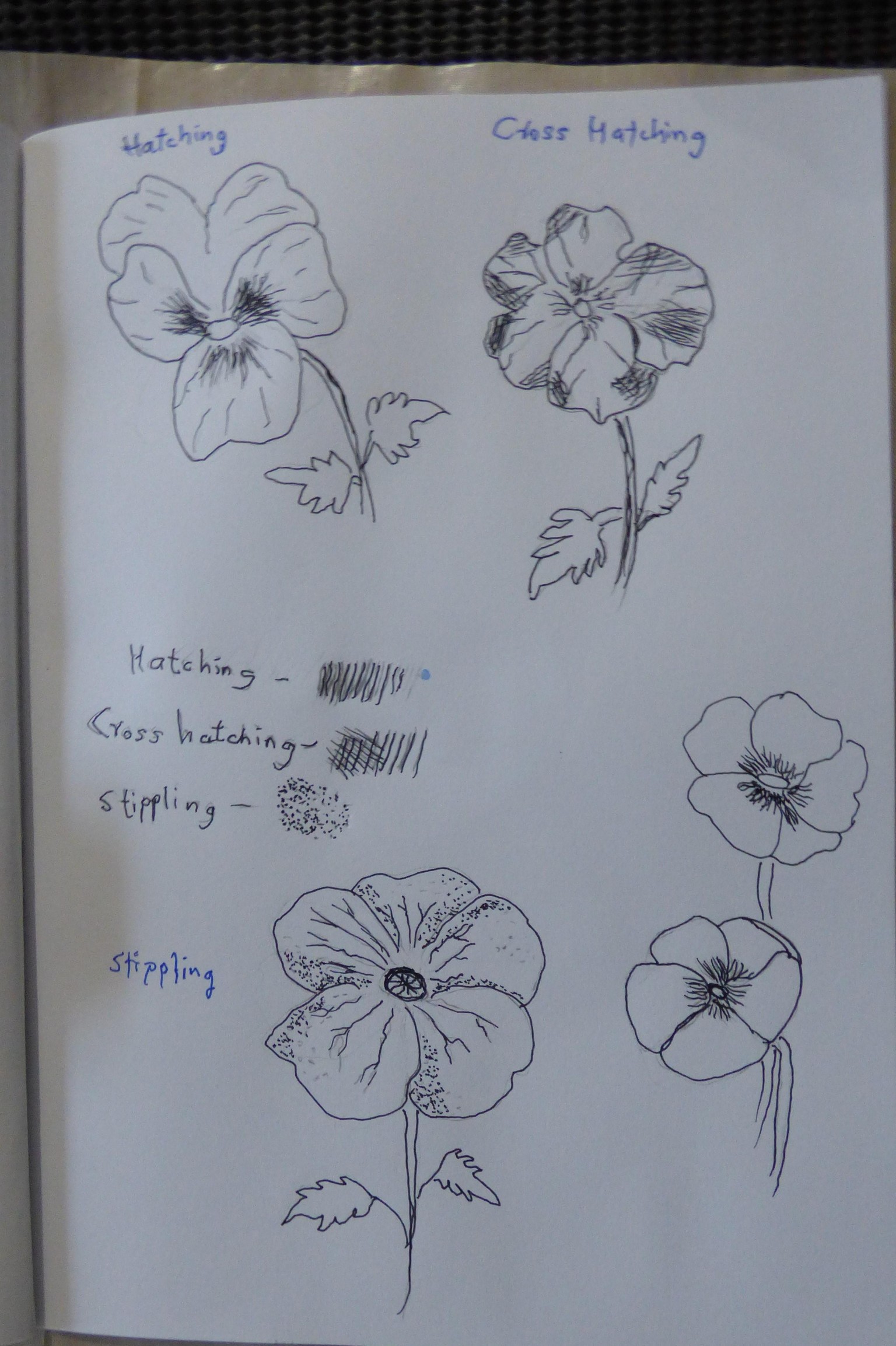 Floral Drawing - image 2 - student project