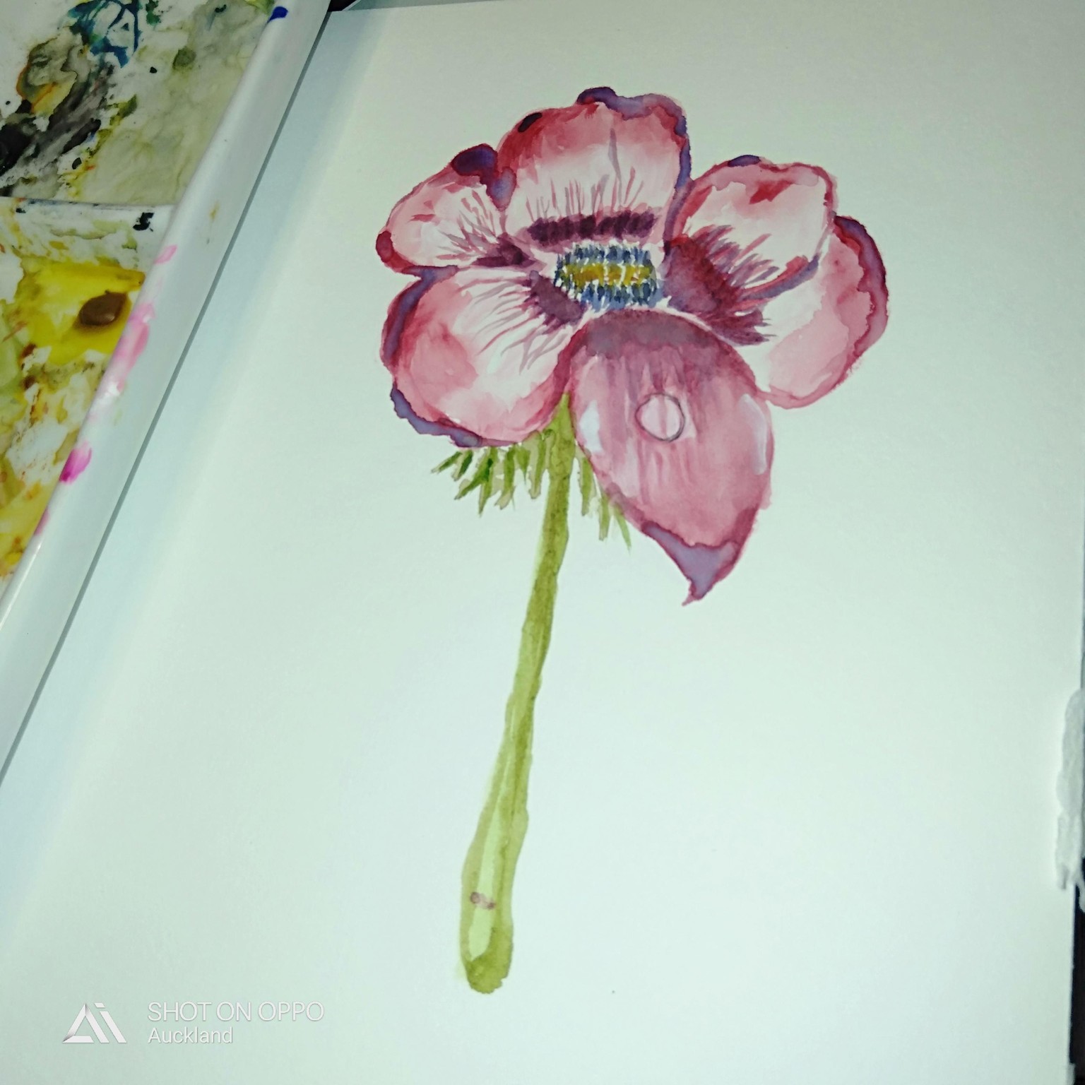 Watercolor with nature - image 4 - student project