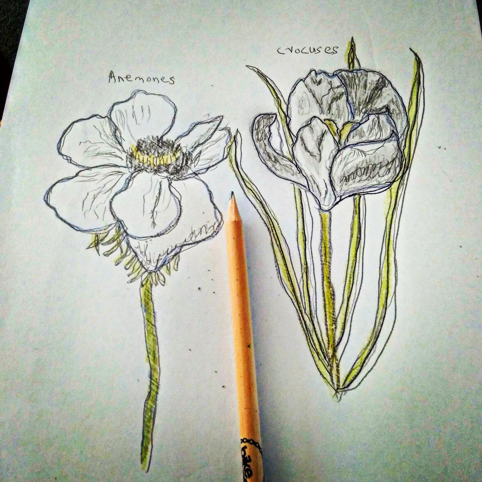 Watercolor with nature - image 1 - student project