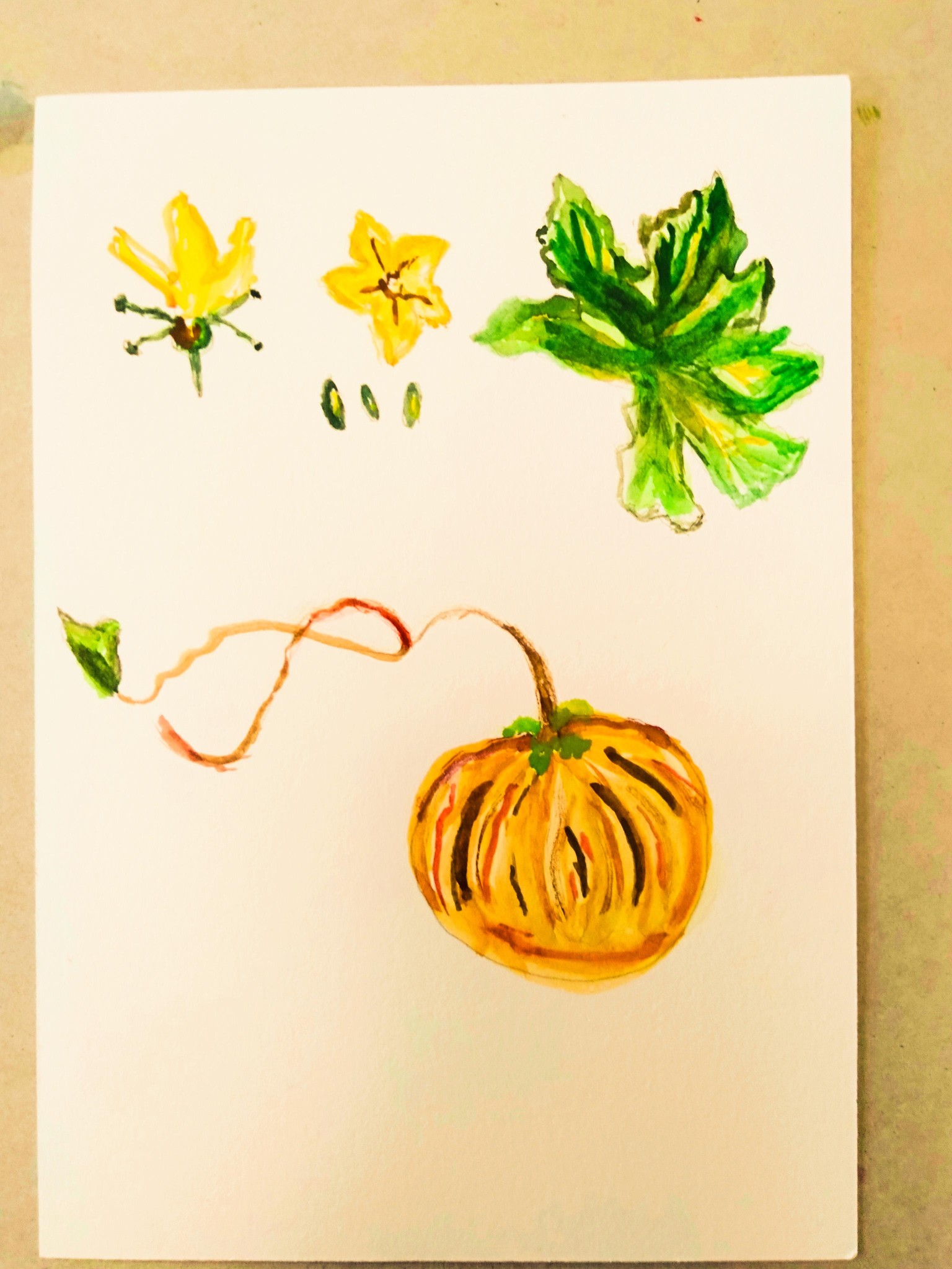 Learn to color - image 1 - student project