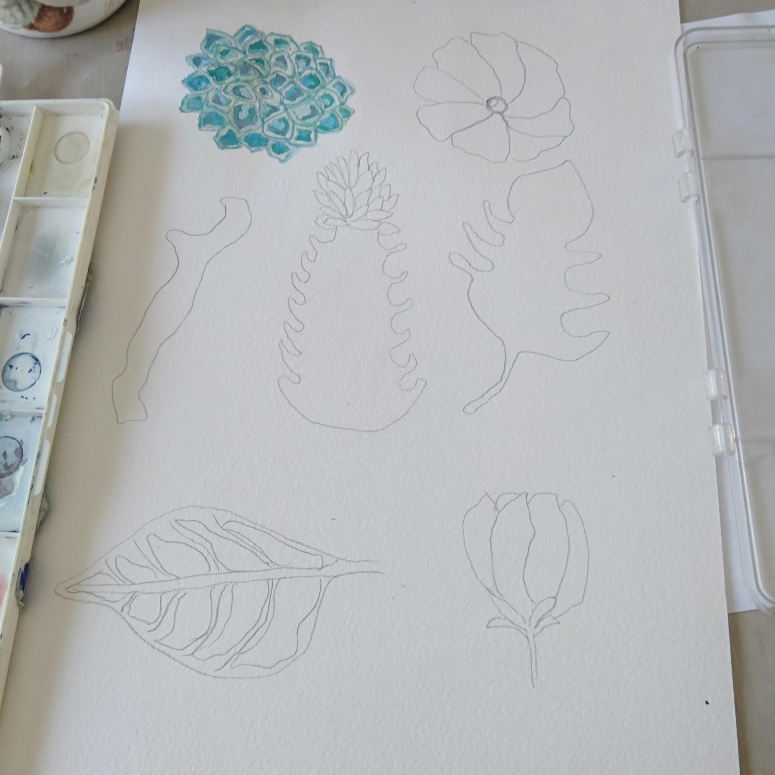Brush control watercolor exercise - image 1 - student project