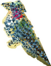 Hummingbird poly art - image 1 - student project