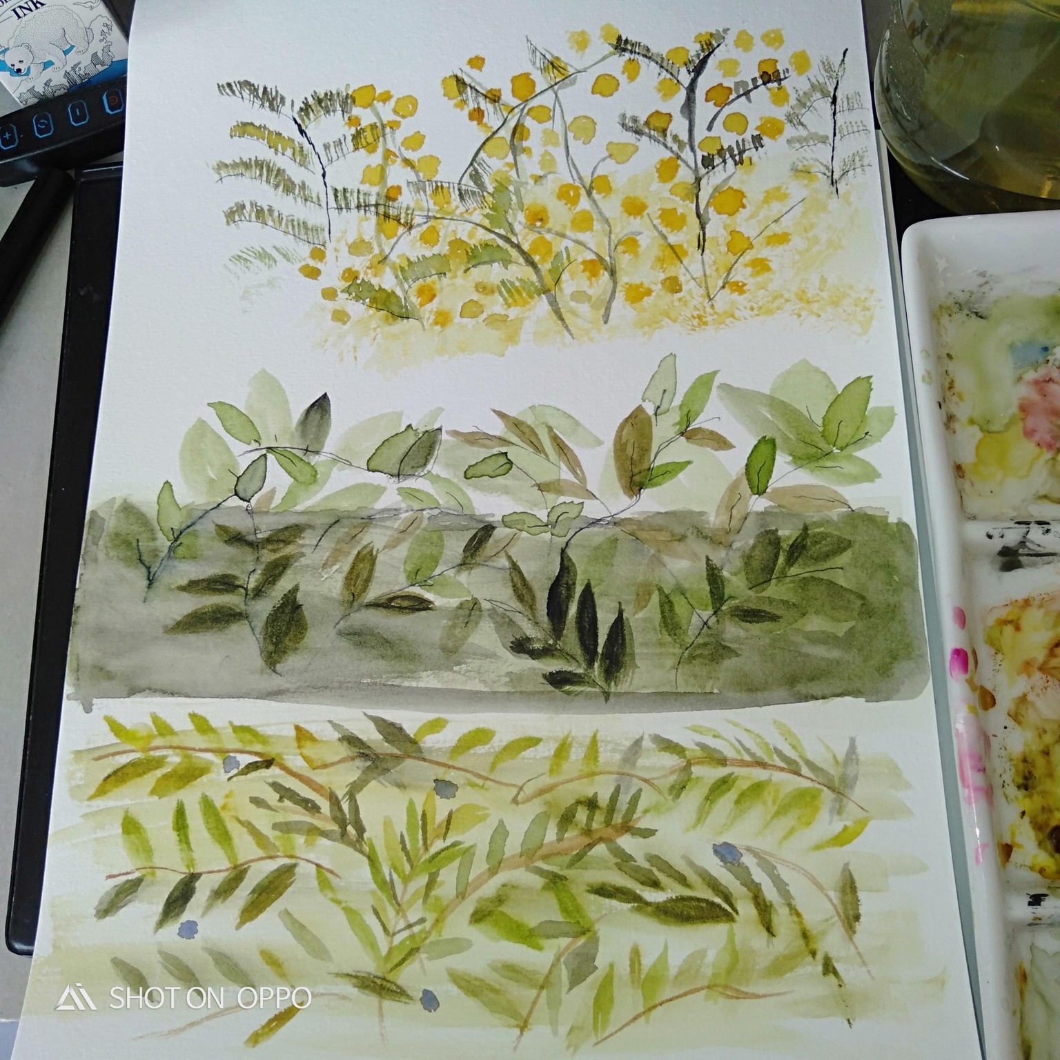 Watercolor with nature - image 6 - student project