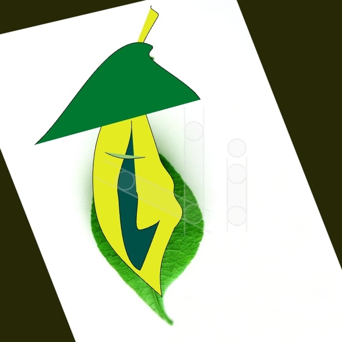 Vectorized leaf pattern - image 1 - student project