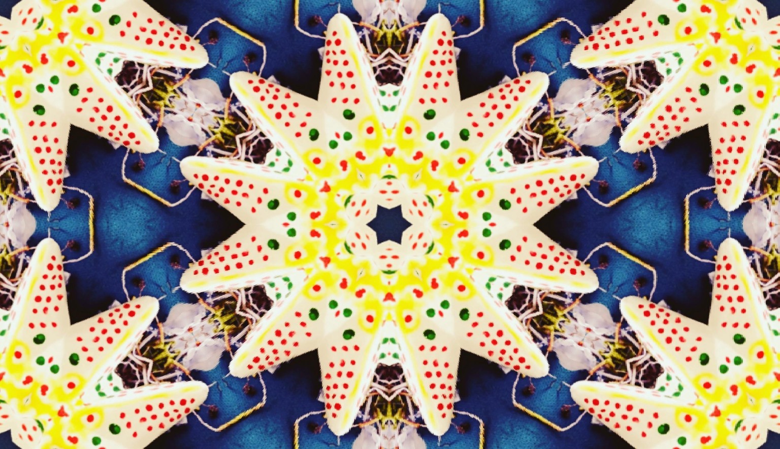 7 days of relaxation and fun - image 7 - student project