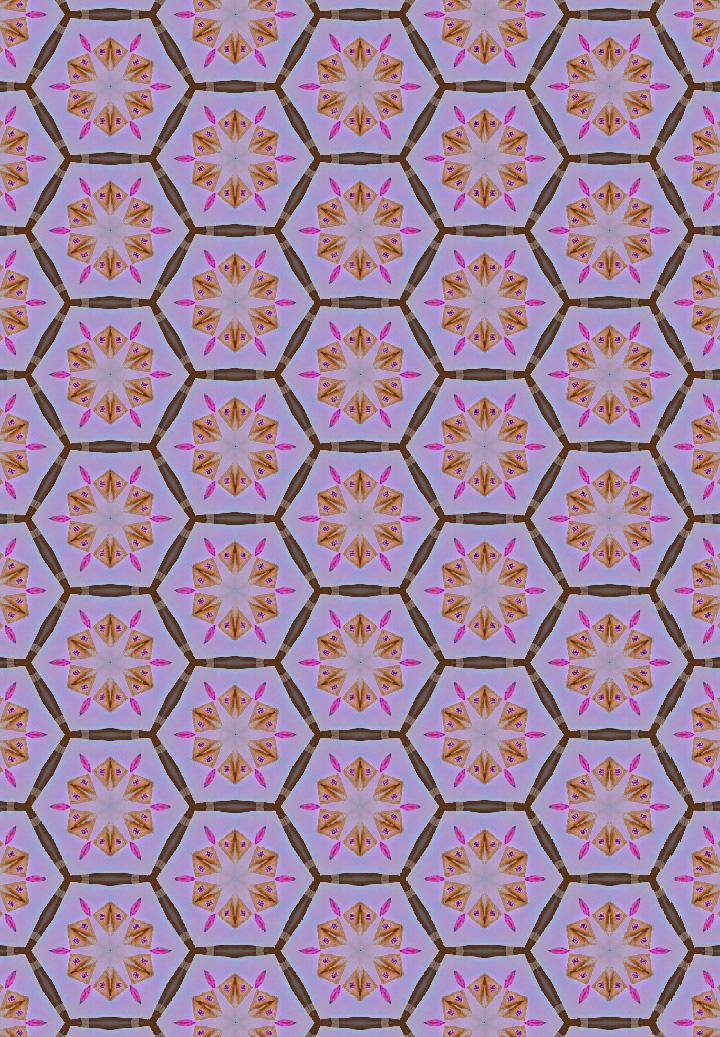 Graphics Adobe Capture - image 1 - student project
